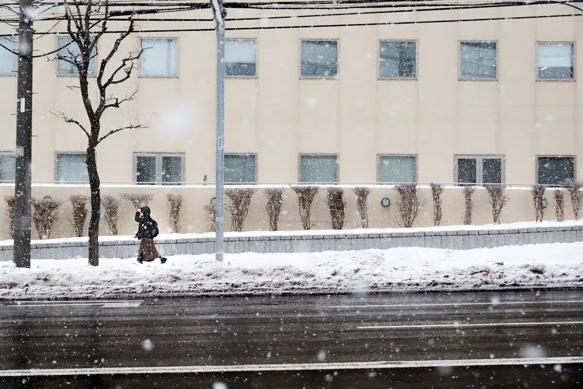 Persona abrigada caminando en tormenta de nieve con vientos fuertes y cielo gris oscuro