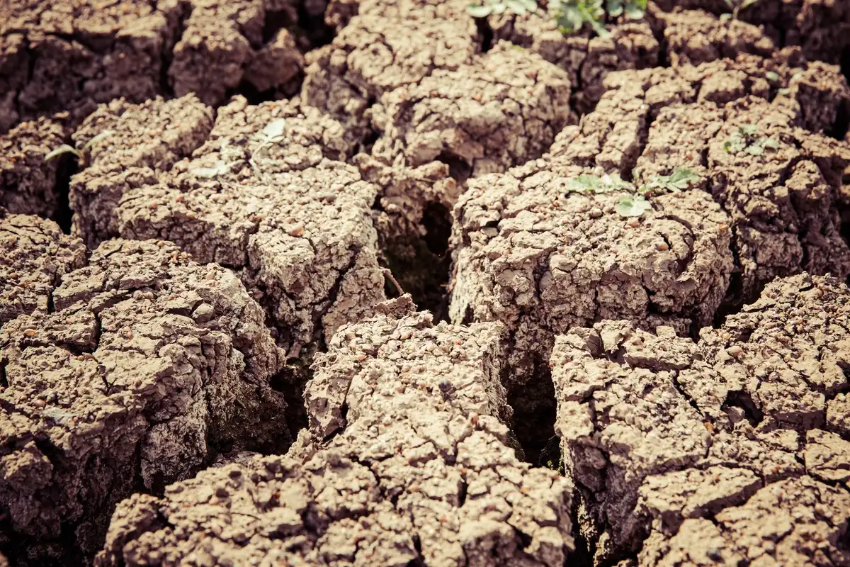 Tierras degradadas con restos de infraestructura petrolera abandonada afectando la actividad agropecuaria.