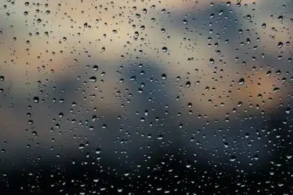Paraguas y ramas movidas por el viento en una calle con charcos y nubes bajas