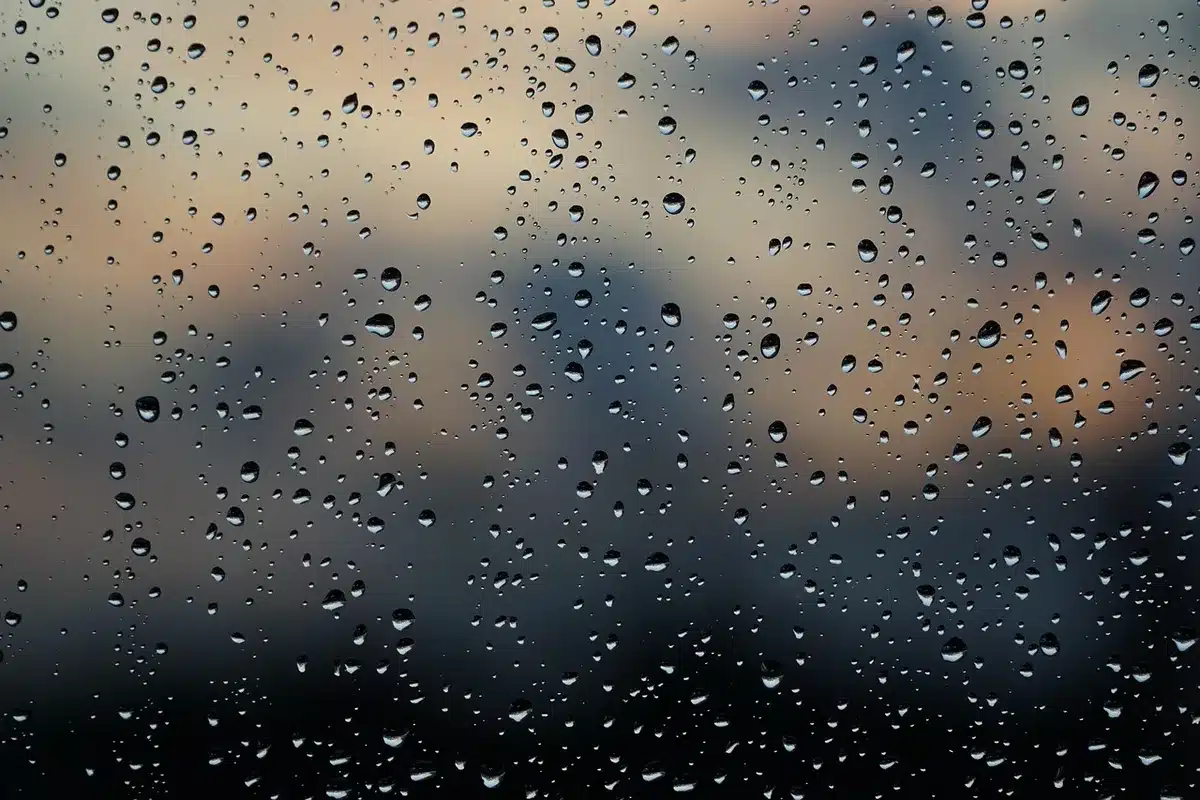 Paraguas y ramas movidas por el viento en una calle con charcos y nubes bajas